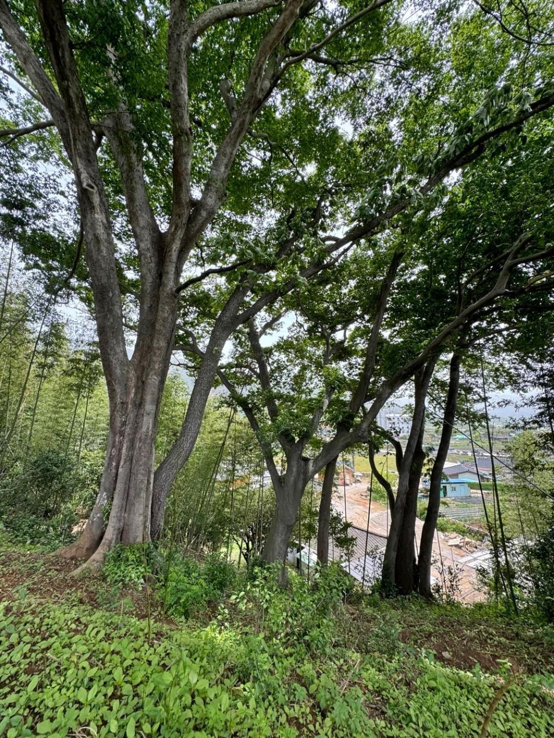 Hanok - Jukrokjungsa Holiday home